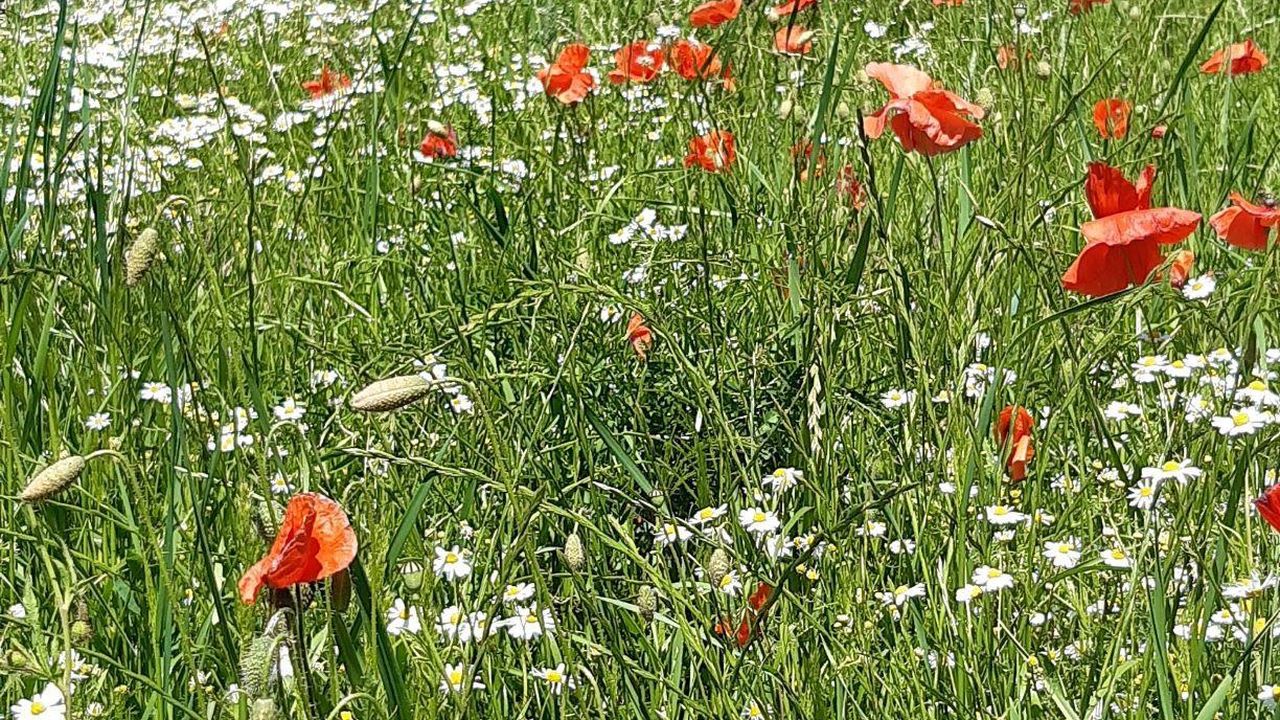 mit dem Rad unterwegs mit dem Rad unterwegs